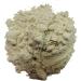 100% Natural Organic Pure Date Palm Pollen (Powdered) (Weight: 3.5 oz 100 GM) - Buy Online on SooperMarket.com