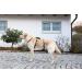 Kerbl 80044 Panic Harness Miami | Escape-proof Dog Harness | Grey 64-100cm | International Shipping Available - Buy Online on SooperMarket.com