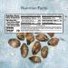 Roland Foods Smoked Medium Oysters in Oil - Wild Caught - 3 oz (Pack of 1) - Buy Online on SooperMarket.com