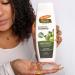 Palmers Olive Oil Smoothing Shampoo for Frizz-Prone Hair 13.5oz (Pack of 2) - Buy Online on SooperMarket.com