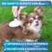 Bluepet Cat & Small Dog Brush | Gentle Undercoat Removal & Daily Fur Care - Mini Pink Rabbit Brush - Buy Online on SooperMarket.com