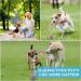 Aitmexcn Indestructible Dog Rope Toy - 37 Inch Tough 5 Knots Chew Toy for Large and Medium Dogs - Buy Online on SooperMarket.com