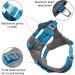Kurgo Journey Air Dog Harness - Padded Chest & Back Handle for Dogs 2-5 kg XS Size - Blue/Gray - Buy Online on SooperMarket.com