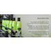 ShiKai Borage Therapy Advanced Formula Lotion - Fragrance Free, 16 Fl Oz - Buy Online on SooperMarket.com