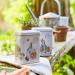 New English Teas Peter Rabbit Tea Caddy with 40 English Afternoon Teabags - Beatrix Potter - Buy Online on SooperMarket.com