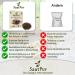 SaatPur ORGANIC Sprouts Assortment | 4 Varieties: Red Energy Mix Radish Red Cabbage Basil Beetroot - International Shipping Available - Buy Online on SooperMarket.com