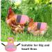 3 Pcs Adjustable Reflective Hen Vest Set - Chicken Harness & Saddle Aprons for Feather Protection - Ideal for Duck, Goose, Poultry, Dog - Pink - Buy Online on SooperMarket.com