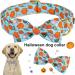 Adjustable Blue Pumpkin Dog Collar - Aring Pet Halloween Halison Bottom Band with Metal Buckle (X-Large) - Perfect Halloween Accessory - Buy Online on SooperMarket.com