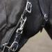 Solibel Trekking Bridle Black - Stainless Steel Thoroughbred Fit | International Shipping Available - Buy Online on SooperMarket.com