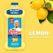 Mr. Clean Antibacterial Multi Surface Cleaner with Summer Citrus Scent Disinfectant All Purpose Cleaner 680 mL - Buy Online on SooperMarket.com