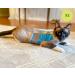 CAT SCHOOL Cat Harness and Leash Set for Outdoor Walks Training and Travel - Secure Soft Comfortable Cat Vest Harness with 10' Long Cat Leash - Easy to Use with Step-by-Step Instructions S/M - Buy Online on SooperMarket.com