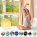 Baozily Light Alarm Clock Sunrise Sunset Simulation Double Alarms Snooze FM Radio & 11 Color Options Wake Up Naturally! - Buy Online on SooperMarket.com