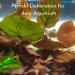 ProFlora Sea Almond Leaves | Organic Catappa Leaves for Aquariums | 12 XS Pieces (8 cm) - Natural Water Enhancer & Nutritional Supplement - Buy Online on SooperMarket.com