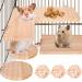 4-piece hamster accessories hamster pedal: hamster toy platform for pets with 3 balls guinea pig toy toy hamster pedal l jumping board round for chinchilla rabbits guinea pig