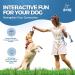 Fur & Bone 10 Pack Dog Rope Toy Dog Chew Toys for Aggressive Chewers - Cotton Puppy Toys | Dog Toys Indestructible for Dog Chews | Dog Toy Indestructible Dog Toys Dog Accessories Chew Toys for Dogs - Buy Online on SooperMarket.com