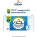 Buy Cottonelle Moist Toilet Paper - Biodegradable Wet Wipes with Cotton Fragrance | 12x42 Pack - Clean & Nourishing | International Shipping Available - Buy Online on SooperMarket.com