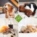 Lillis Naturals Dog Shampoo with Pump Cap - Eco-Friendly & Gentle Pet Care | Shop Internationally - Buy Online on SooperMarket.com