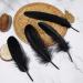 Ballinger Black Craft Feathers Bulk - 120Pcs 6-8 Inch Real Goose Feathers for DIY Halloween Decor, Jewelry, Cosplay & Clothing - Buy Online on SooperMarket.com