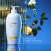 Biotherm Eau Vitaminee Body Milk Moisturising Body Lotion for Women Revitalising Body Milk with Life Plankton Ceramides & Vitamin B5 for a Smooth Skin Feeling 400 ml - Buy Online on SooperMarket.com