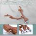 Kathson Parrot Perch Stand - Natural Wild Grape Paw Grinding Pole for Parakeet, Cockatiels, Budgies, Conure, Lovebirds | Bird Cage Accessories - Buy Online on SooperMarket.com