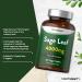 Sage Menopause Tablets 4000mg | Hot Flush Relief Supplement | 120 Vegan Tablets by Horbaach - Buy Online on SooperMarket.com