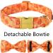 Buy Aring Pet Autumn Dog Hales Band - Adjustable Yellow Cotton Dog Collar with Bow & Autumn Leaves Design - Medium Size - Buy Online on SooperMarket.com