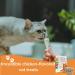 Cat Treats bundle contains Lick e Lix Chicken Salmon Beef Liver Cheese Cat Grass Licky Lix 6x5's Kitten Treat and Snacks Lick-e-Lix Total 30 sachets and our Catnip mouse toy - Buy Online on SooperMarket.com