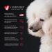 iGroom All-In-One Dog Shampoo + Conditioner 16 oz - Luxury Pet Beauty Care for All Coat Types - Hydrating & Conditioning Formula Made in USA - Buy Online on SooperMarket.com