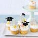 24 Pack Graduation 2024 Cupcake Toppers Glitter Congrats 2024 Done Diploma Cupcake Picks for Class of 2024 Graduation Theme Cake Decorations Party Supplies Silver congrats 2024(24 pcs) Silver-1 - Buy Online on SooperMarket.com