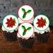 PRECUT Christmas Poinsettia Holly Cupcake Toppers Christmas Edible Holly Cake Decorations Christmas Cake Topper Xmas Cupcake Decoration Poinsettia Cake Decorations (12)