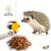 UGF Juicy Preserved Mealworms 140g - Premium Bird Food Hedgehog & Squirrel Treats Year-Round Nutrition - Buy Online on SooperMarket.com