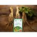 Dr Chen Ginseng Root with Green Tea Traditional Natural Herbal Blend 20 Teabags - Buy Online on SooperMarket.com