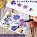EBOOT 72 Pieces Real Dried Pressed Flowers Set for DIY Crafts & Floral Decor - Mixed Dry Flowers for Candle, Resin, Jewelry & Nail Art - Buy Online on SooperMarket.com