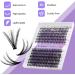 Individual Lashes Cluster Extension 240PCS C Curl 0.07mm 20D/30D Mix 12-16mm RR-12-16mm - Buy Online on SooperMarket.com