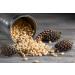 Premium Siberian Raw Pine Nuts GMO Free (700gr) - Buy Online on SooperMarket.com