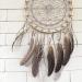 30Pcs Natural Turkey Spotted Feathers for DIY Crafts and Decor - 6-8 inch (3 Styles) - Buy Online on SooperMarket.com