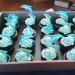 Arthsdite 24Pcs Dolphin Cupcake Toppers Under the Sea Theme Cupcake Picks Ocean Animal Baby Shower Kids Birthday Party Cake Decorations Supplies - Blue Glitter - Buy Online on SooperMarket.com