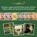 Honeyfields 5Kg Wild Bird Food - High Quality Blend for All Seasons - Buy Online on SooperMarket.com