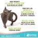 Raw Paws Silvervine Catnip Sticks 30-ct - Natural Matatabi Chew Toys for Indoor Cats - Silver Vine Kicker Toy - 30-pack - Buy Online on SooperMarket.com