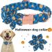 Buy Aring Pet Pumpkin Dog Halter - Adjustable Cotton Halloween Plaid for Small to Large Dogs | Festive Dog Accessories - Buy Online on SooperMarket.com