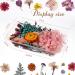 Pressed Dried Flowers Kit with Tweezers - Colorful Real Dried Flowers for Resin Jewelry DIY - Buy Online on SooperMarket.com