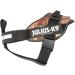 Julius-K9 I-Gurt 2011 Schutzhund Safety Belt for 40-90 kg Dogs | Black I-Gurt 3-4 - International Shipping Available - Buy Online on SooperMarket.com