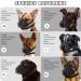 Buy Bonthee Dog Muzzle - Soft Mesh for Small & Medium Dogs | Breathable Adjustable & Reflective for Grooming & Scavenging - Buy Online on SooperMarket.com
