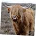 PopetPop 10-Pack Small Cow Bells - Anti-Theft Christmas Decorations for Pets Cattle & Sheep | Loud Iron Bell Accessories - Buy Online on SooperMarket.com