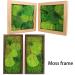 Preserved Moss Pole - 1.5 sq. Ft Decorative Moss for DIY Crafts and Wall Decor (Yellow Green) - Buy Online on SooperMarket.com