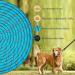 Shop Aystkniet Bungee Tow Leash for Dogs - 30m Shock-Absorbing Dog Leash with Padded Handle & Lockable Hook - Perfect for Medium & Large Dogs - Blue - Buy Online on SooperMarket.com