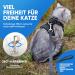 Blue Pawz Cat Dishes with 170cm Leash | Premium Quality Cat Bowls | Perfect for Unforgettable Moments | International Shipping Available - Buy Online on SooperMarket.com