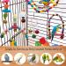 MQUPIN Bird Parrots Toys 14-Pack Cage Toys Hanging Swing Climbing Shredding Perches Ladders Sepak Takraw Bell Frosting Stick Parrot Set Toy for Medium Budgie Finches Cockatiels Conures African Parrot S-6.9inch - Buy Online on SooperMarket.com
