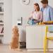 Petcube Bites 2 Lite: Interactive WiFi Pet Camera with Treat Dispenser | 1080p HD Video, Night Vision, Two-Way Audio | Cat & Dog Monitor - Buy Online on SooperMarket.com