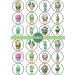 PRECUT Kawaii Cactus Edible Cupcake Toppers - Cute Kawaii Cactus Theme Premium Thickness SWEETENED VANILLA - wafer card disc cake decorations (Pack of 24) - Buy Online on SooperMarket.com